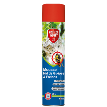 Mousse Nid de Guêpes & Frelons