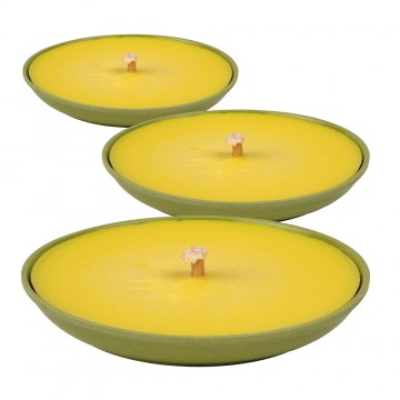 Lot 3 bougies citronnelle...